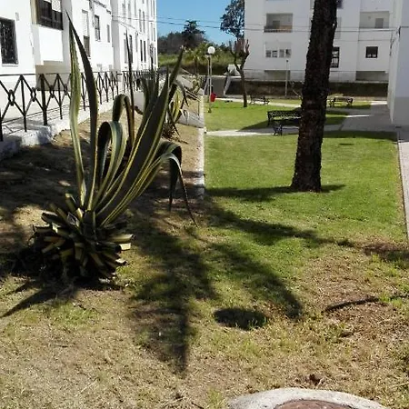 Hermoso En Conil Lejlighed